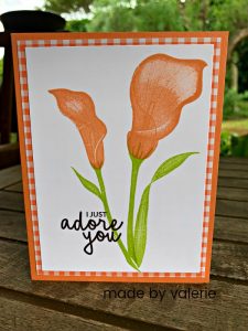 #createwithcheryl #cherylhamilton #mauibigshots #simplestamping #saleabration