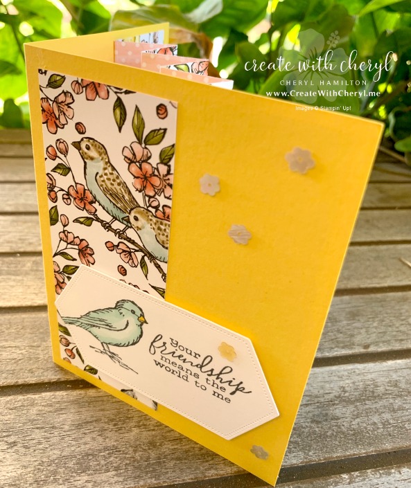 #createwithcheryl #cherylhamilton #birdballad #funfoldcards #accordionfoldcard