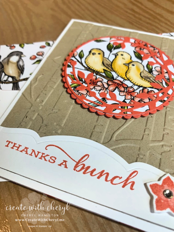 I love the way they are framed with branches!!