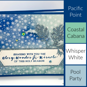 Inspired by Color Snowflake Splendor