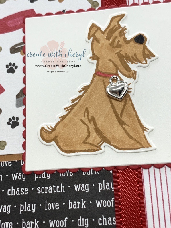 Pampered Pets Card