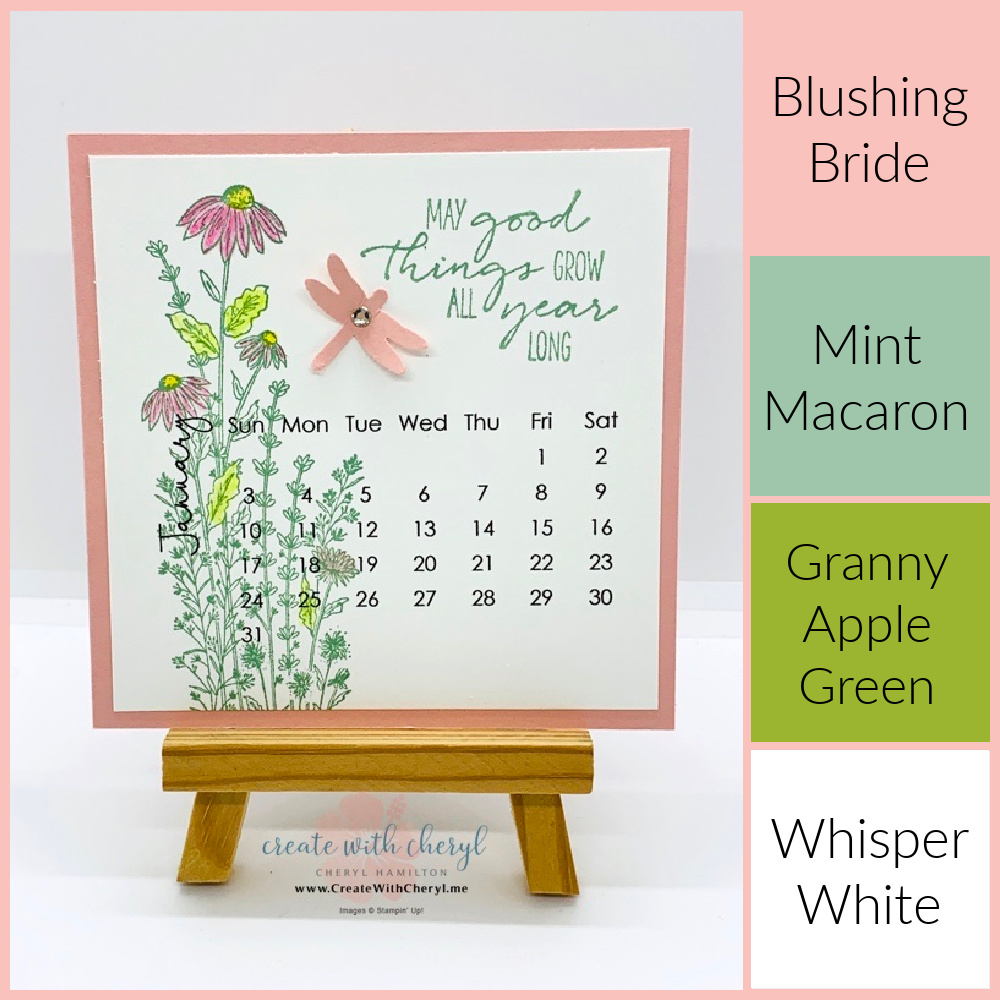 Dragonfly Garden Colors