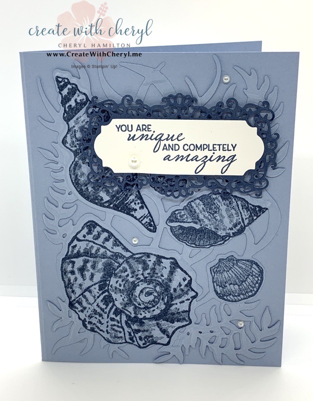 Friends Are Like Seashells Bundle