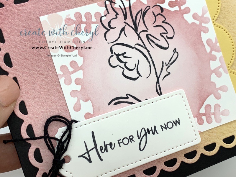 Color & Contour Card