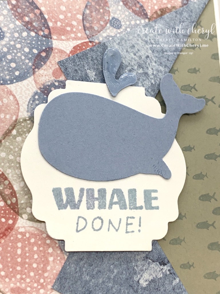 Whale Done Collar Fold Card