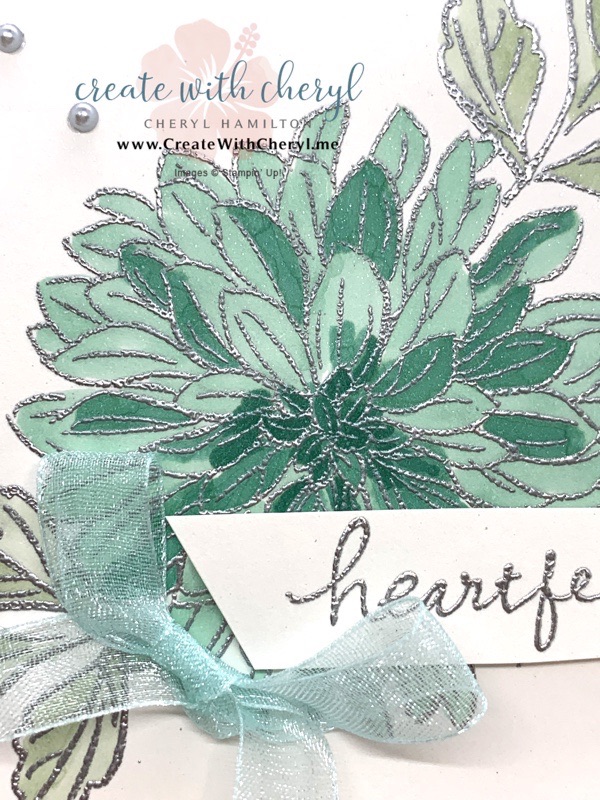 Delicate Dahlias