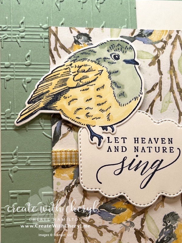 Perched in a Tree Christmas Card