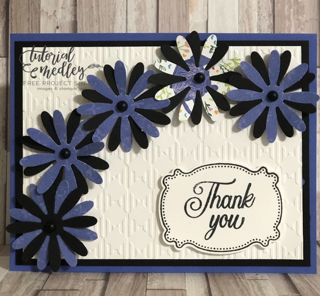 Orchid Oasis Daisy Card